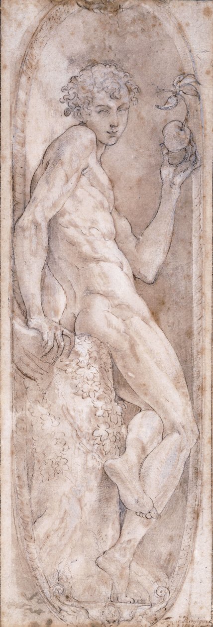 Adam elinde bir elma tutuyor, madalyon içinde oturuyor, c.1547-1553 by Girolamo Mazzola Bedoli