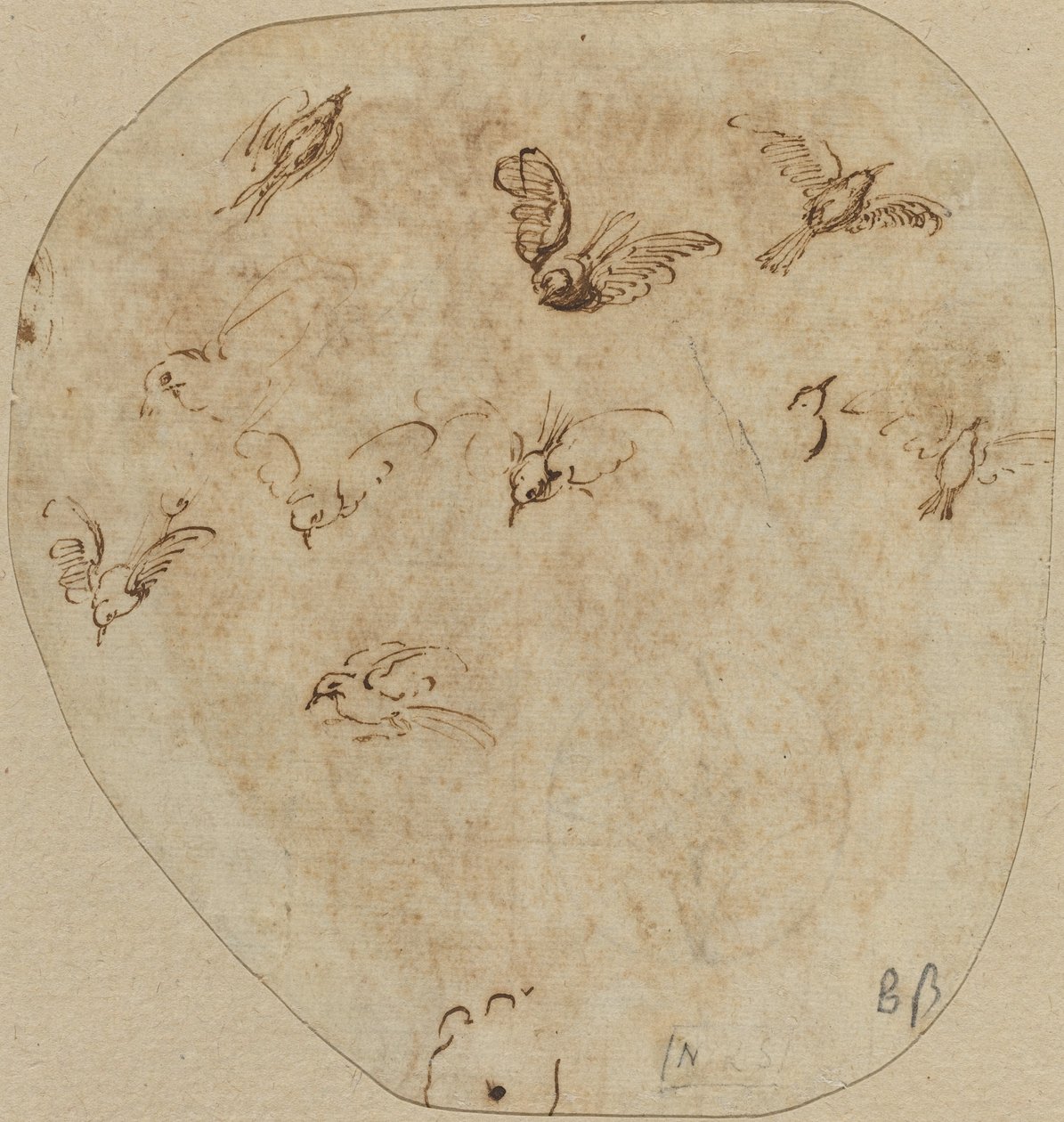 Uçan Kuşlar [verso] by Girolamo Mazzola Bedoli