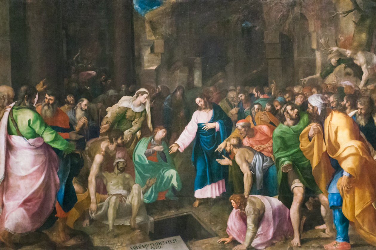 Lazarus'un Dirilişi, c.1555 (tuval üzerine yağlıboya) by Girolamo Muziano