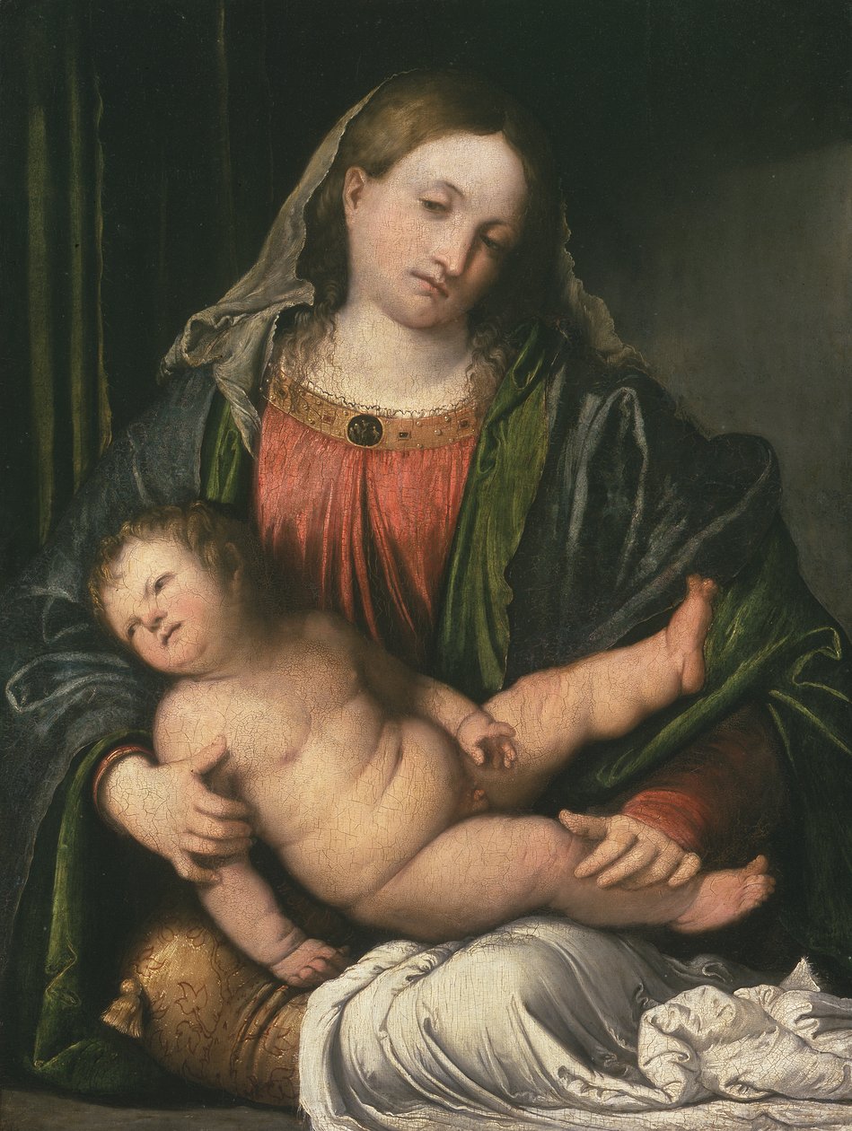 Madonna ve Çocuk, c.1516-17 (panelde yağlı boya) by Girolamo Romanino