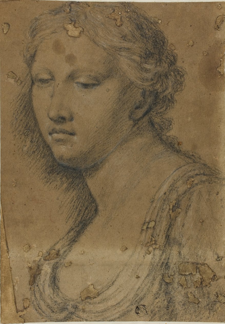 kadın büstü by Girolamo da Carpi