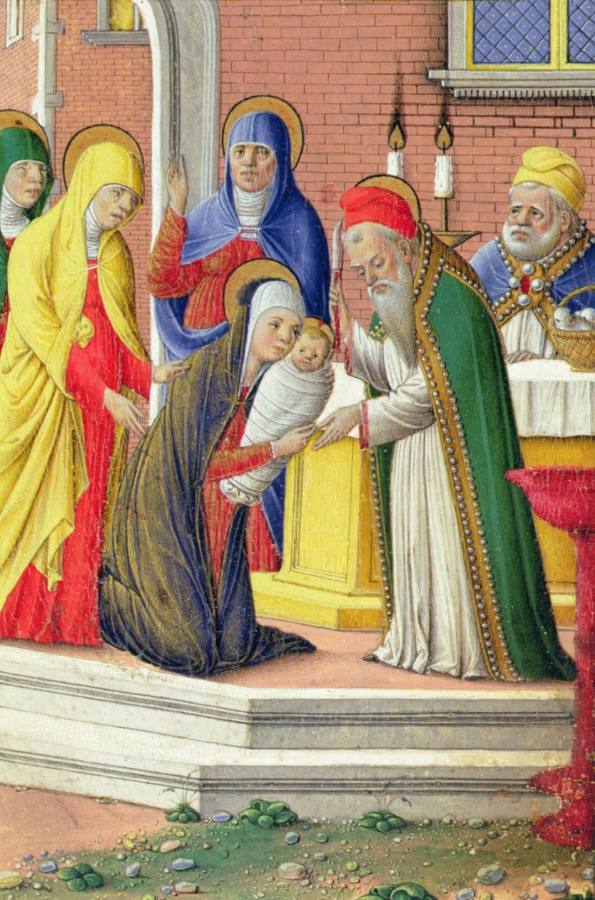 Tapınakta Sunum, c.1465 by Girolamo da Cremona