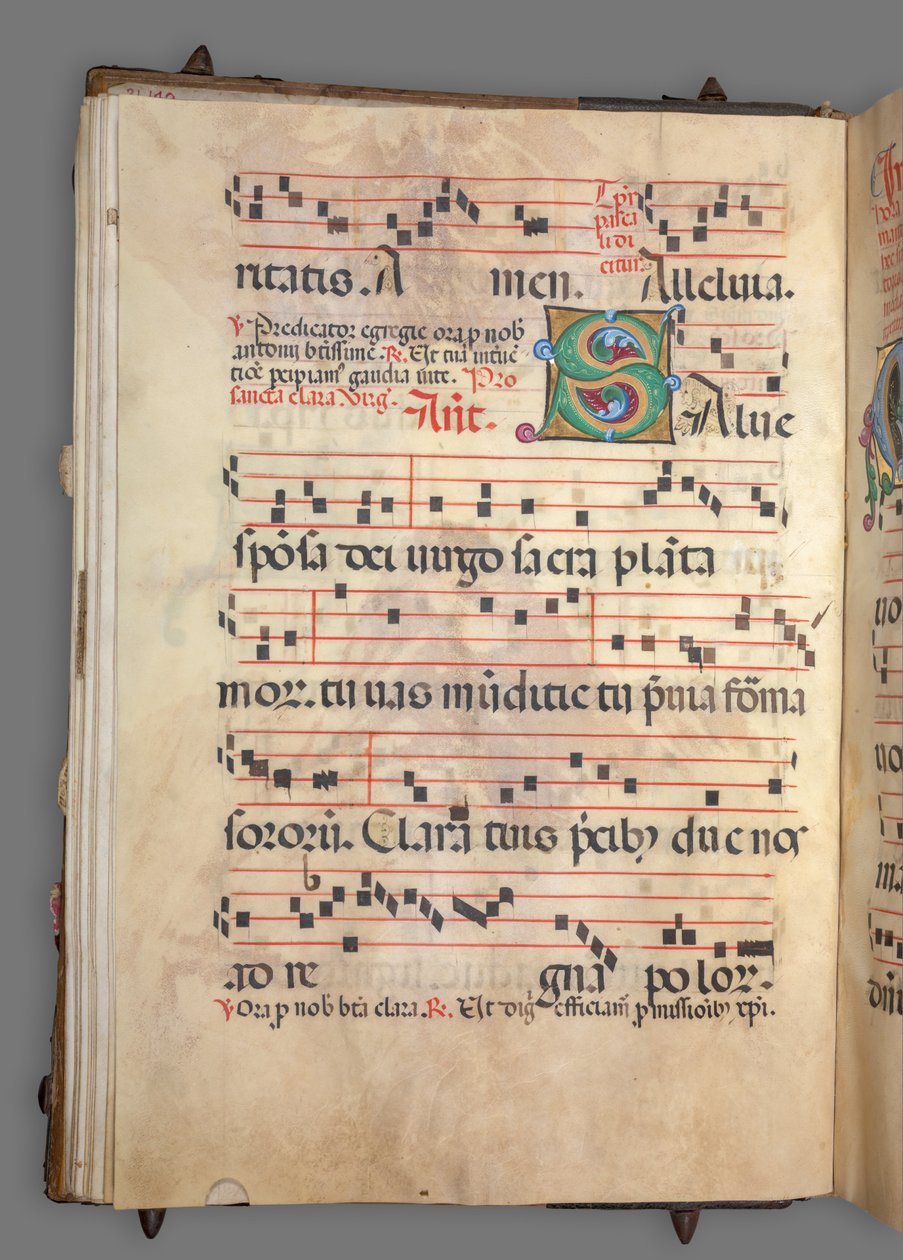  by Girolamo dai Libri