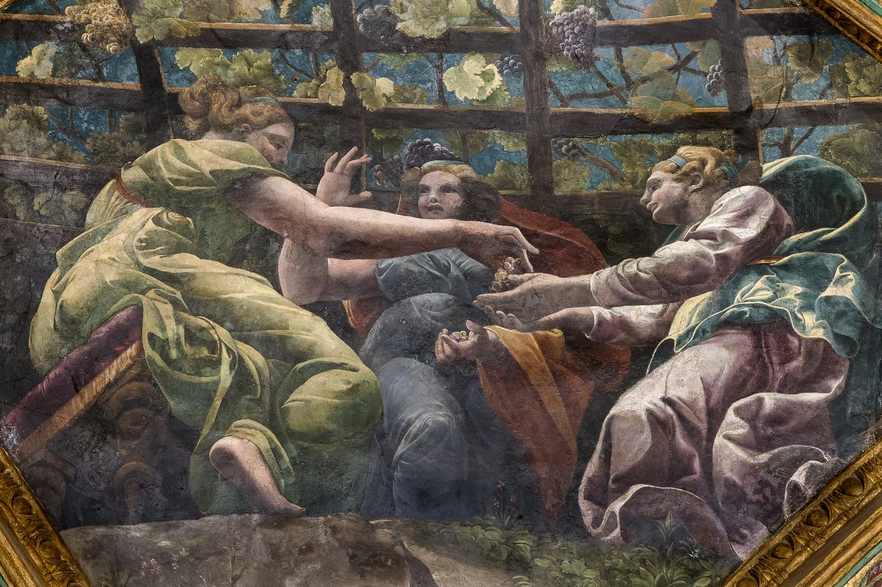 Genç kadınların ve üzümlerin bulunduğu kasanın detayı, Aşk Tanrısı ve Ruh Odası (Sala di Amore e Psiche) by Giulio (and workshop) Romano