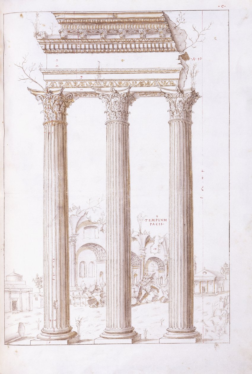 Arka planda Barış Tapınağı ile Castor ve Pollux tapınağının sütunları, c.1550 (siyah tebeşir, tükenmez kalem ve kahverengi mürekkeple orijinal bir çizim) by Giulio (circle of) Romano
