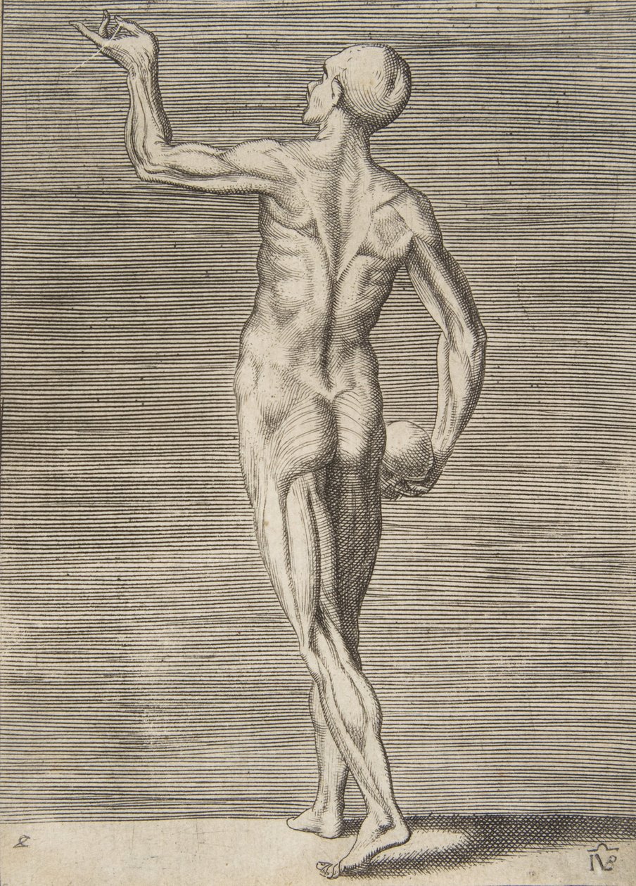 Sağ elinde bir Kafatası tutan arkadan görülen adam, 16. yüzyıl. by Giulio Bonasone