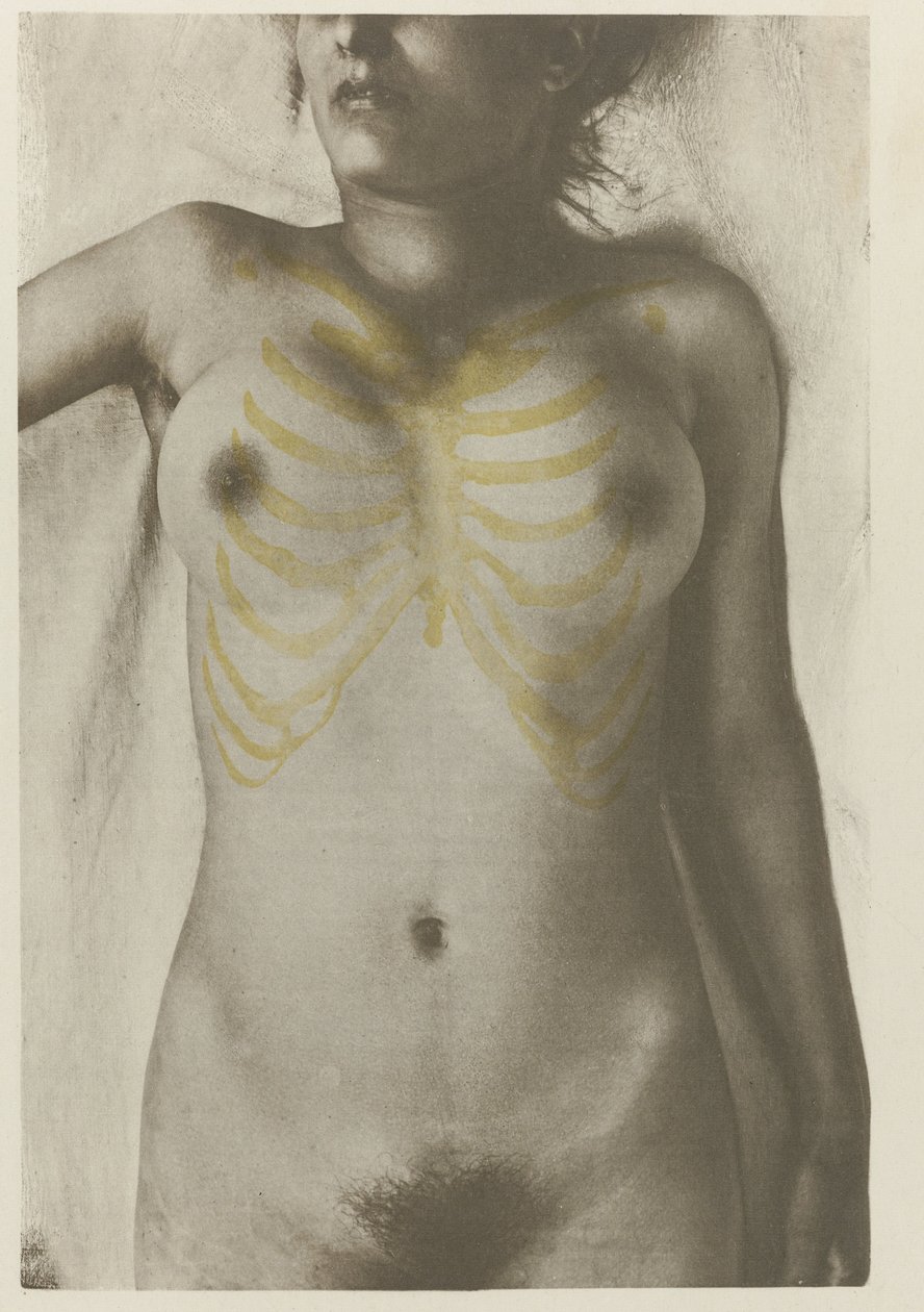 Anatomische foto van een vrouwelijk lijk: 'de vorm van de borstpartij in relatie tot het skelet' (İskelete göre memenin şekli] Sanatçıların kullanması için insan anatomisi Atlası : üreme ve illüstrasyon, anatomik by Giulio Chiarugi (attributed to)