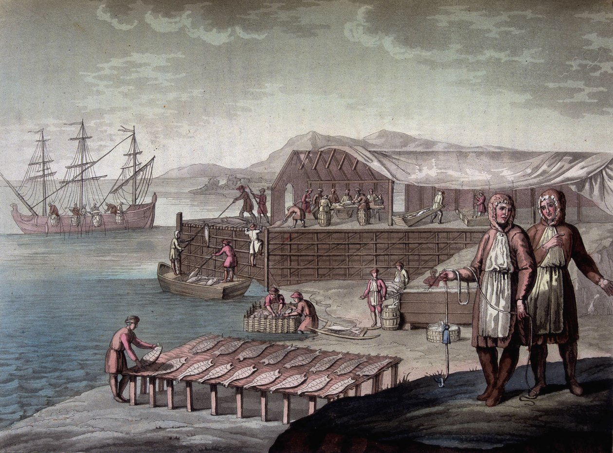 Newfoundland sakinleri tarafından yapılan morina balıkçılığı - Ferrario, ed. Milano by Giulio Ferrario