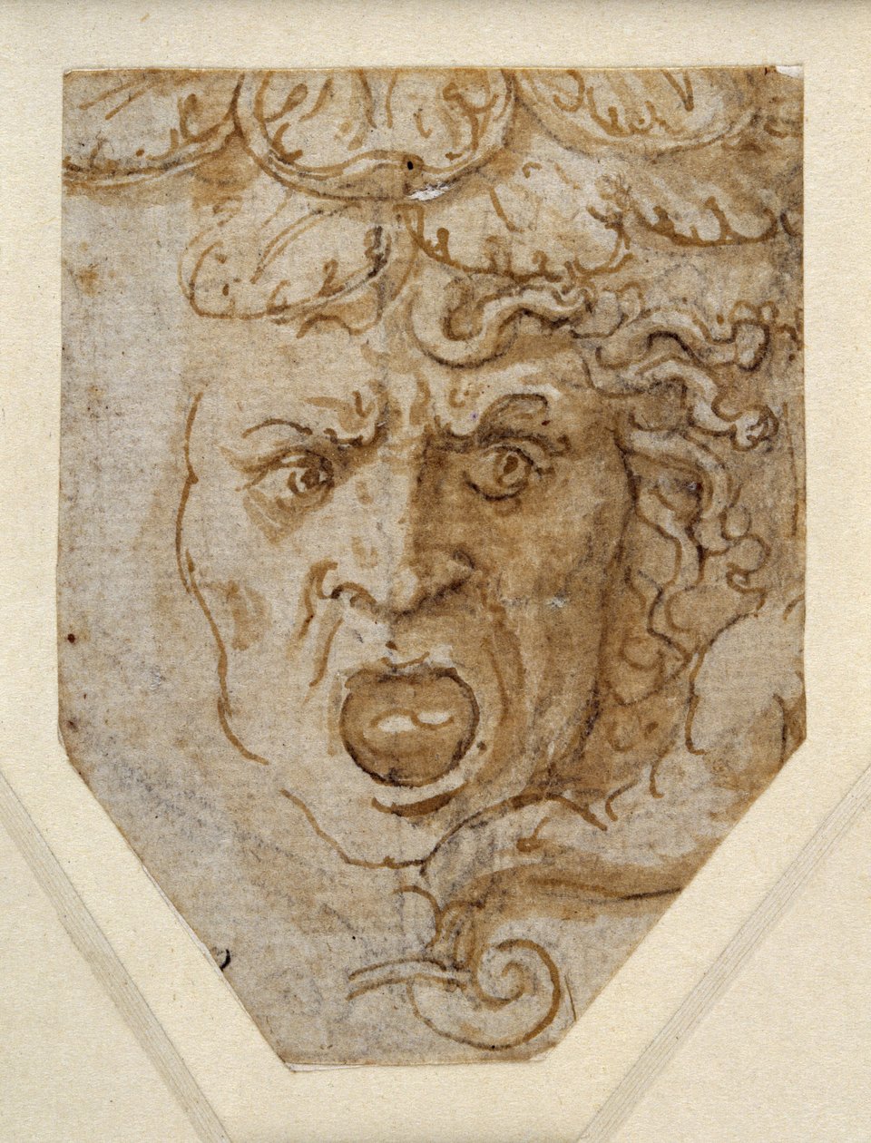 Medusa