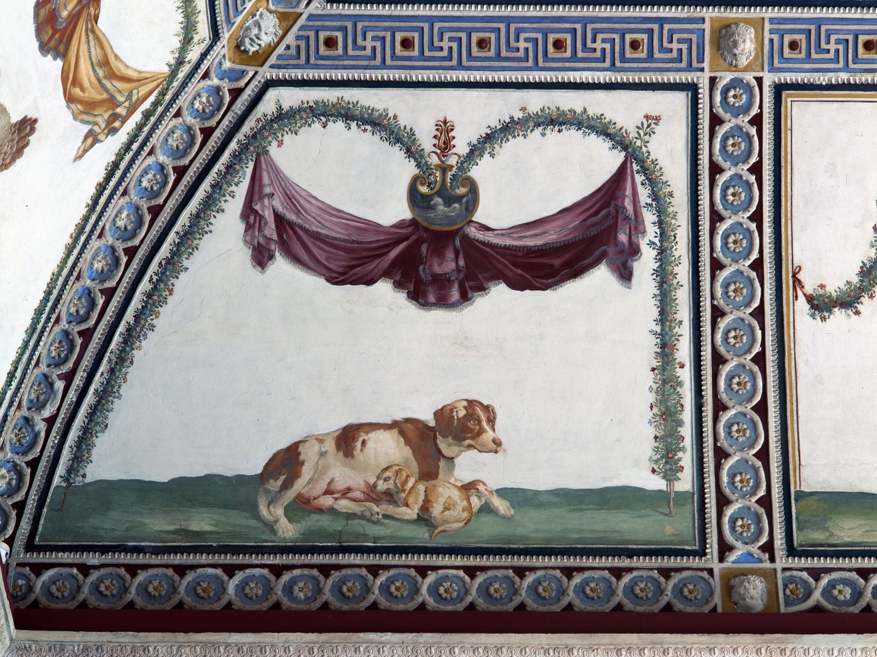 Bir köpek ve bir köpek yavrusu Cupid Frizinin Camera con Fregio di Amorini Odası, 1520