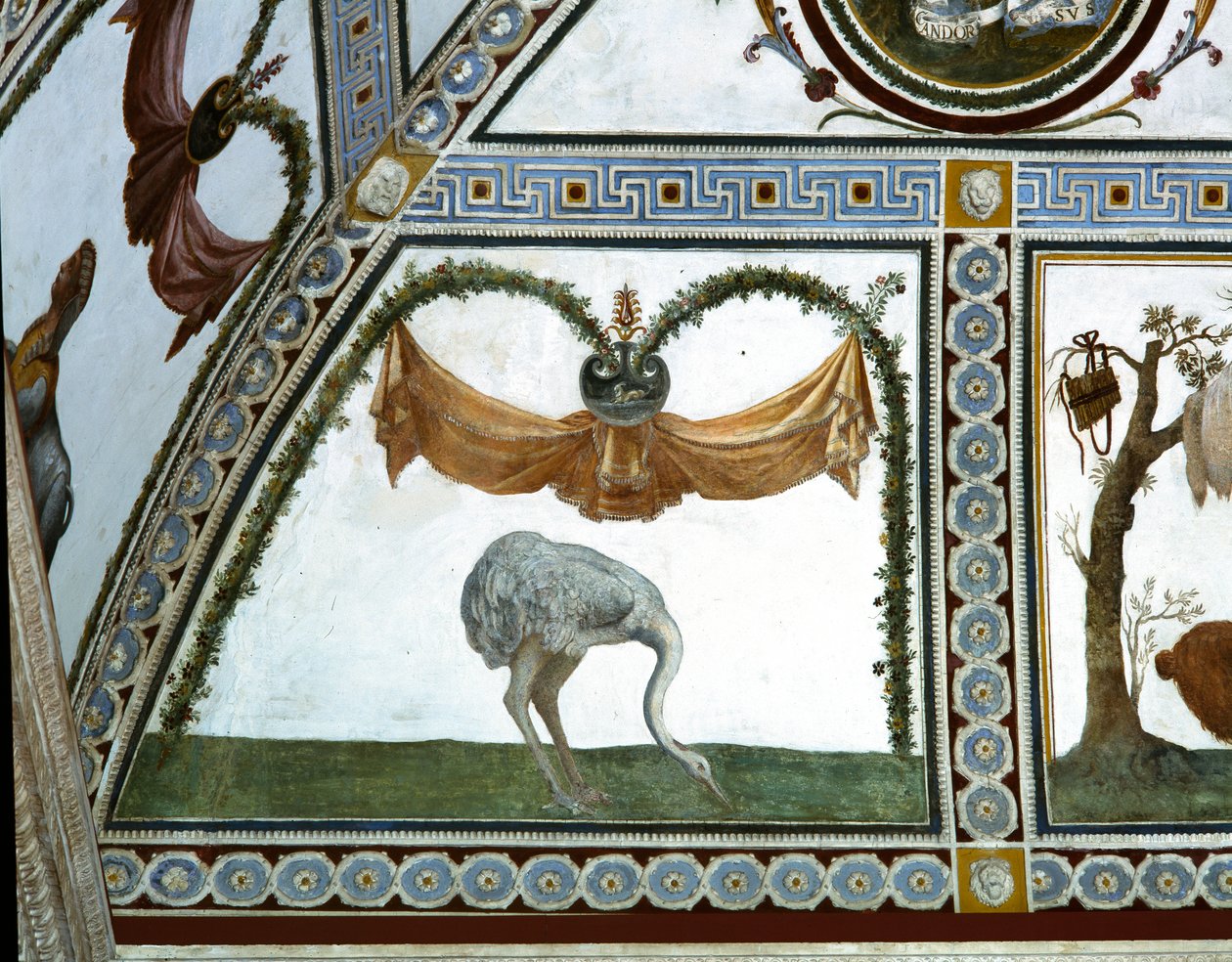 Bir devekuşunun Cupid Frizi detayındaki Camera con Fregio di Amorini Odası, 1520