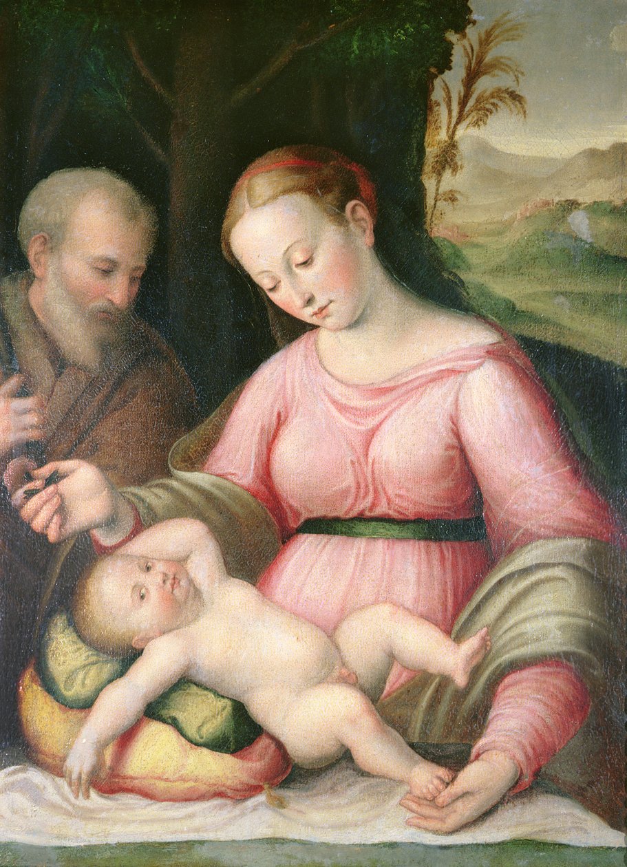 Dağlık Bir Manzarada Kutsal Aile by Giulio Romano