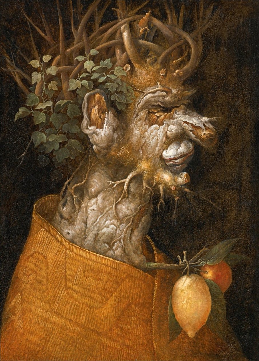 Kış Alegorisi by Giuseppe Arcimboldo