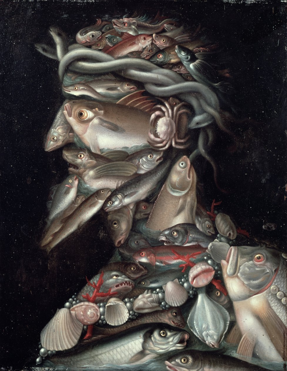 Amiral by Giuseppe Arcimboldo