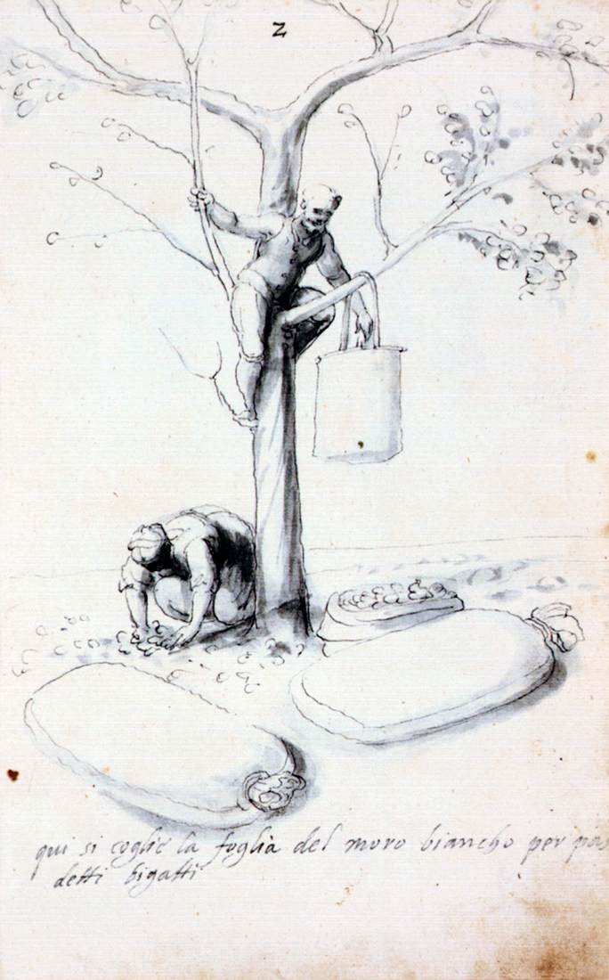 İpek Kültürü ve İmalatı Üzerine İnceleme by Giuseppe Arcimboldo