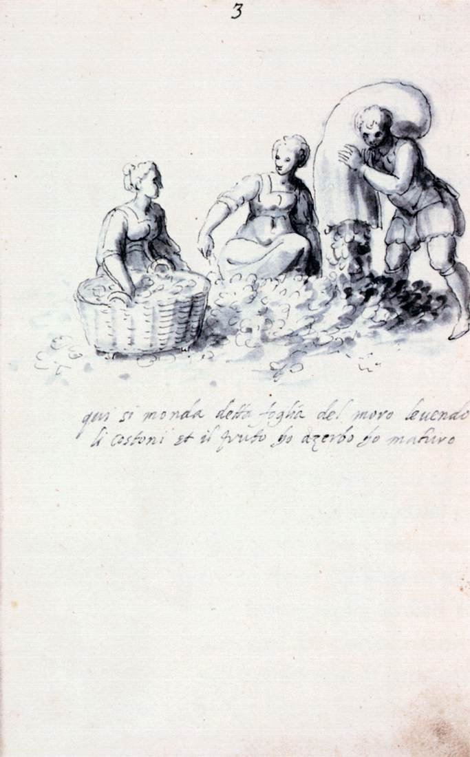 İpek Kültürü ve İmalatı Üzerine İnceleme by Giuseppe Arcimboldo