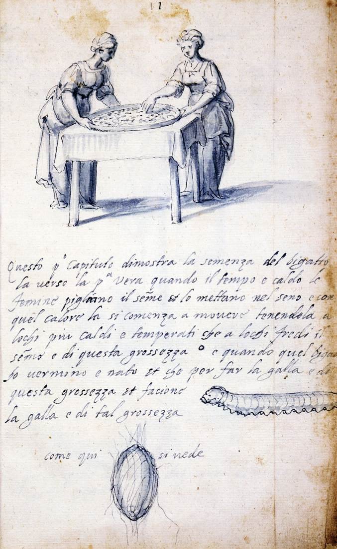 İpek Kültürü ve İmalatı Üzerine İnceleme (On Üç Çizim Dizisi, No. 1) by Giuseppe Arcimboldo