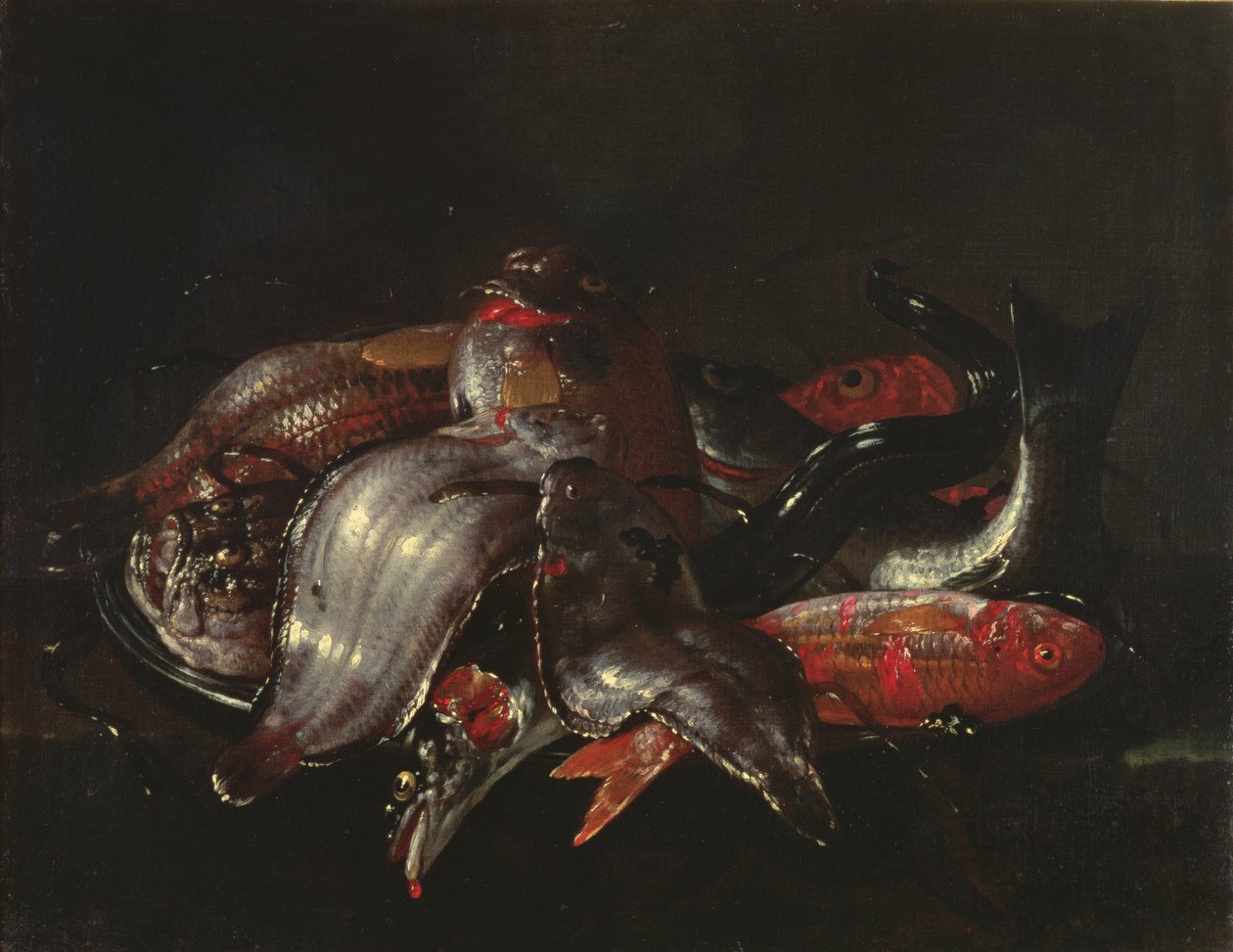 Balık Natürmort, c.1670-80 by Giuseppe Recco