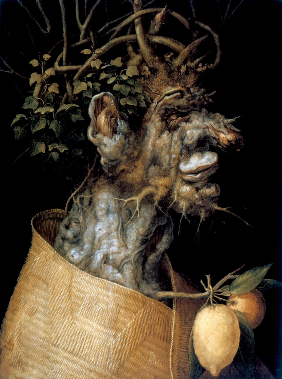 Kış, 1563 by Giuseppe Arcimboldi