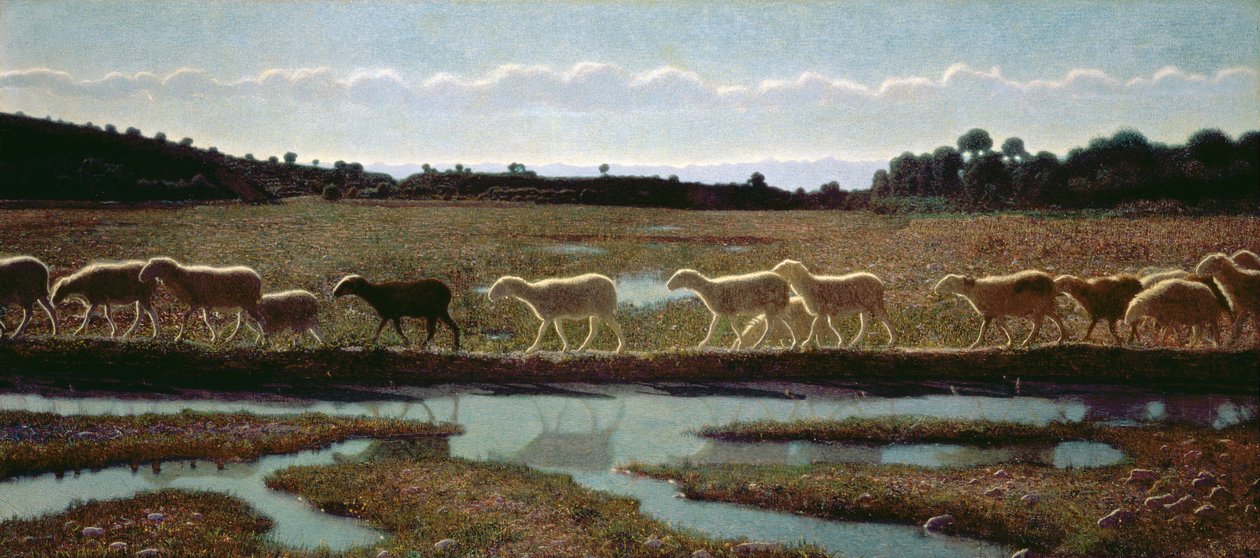 Hayatın Aynası: İlkinin yaptığını Diğerleri takip eder, 1895-98 by Giuseppe Pellizza da Volpedo