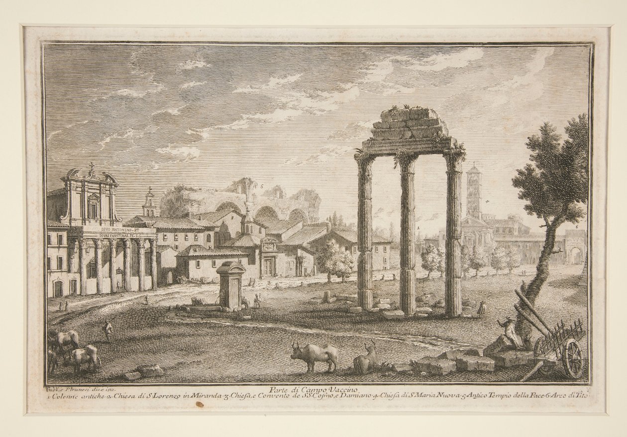 Campo Vaccino