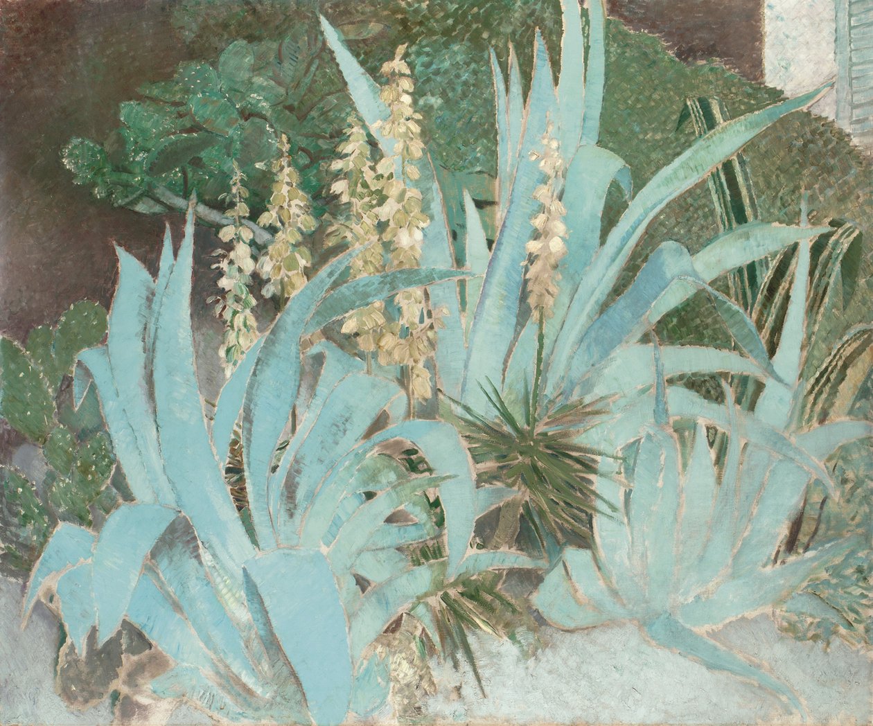 Kaktüs (tuval üzerine yağlı boya) by Glyn Warren Philpot