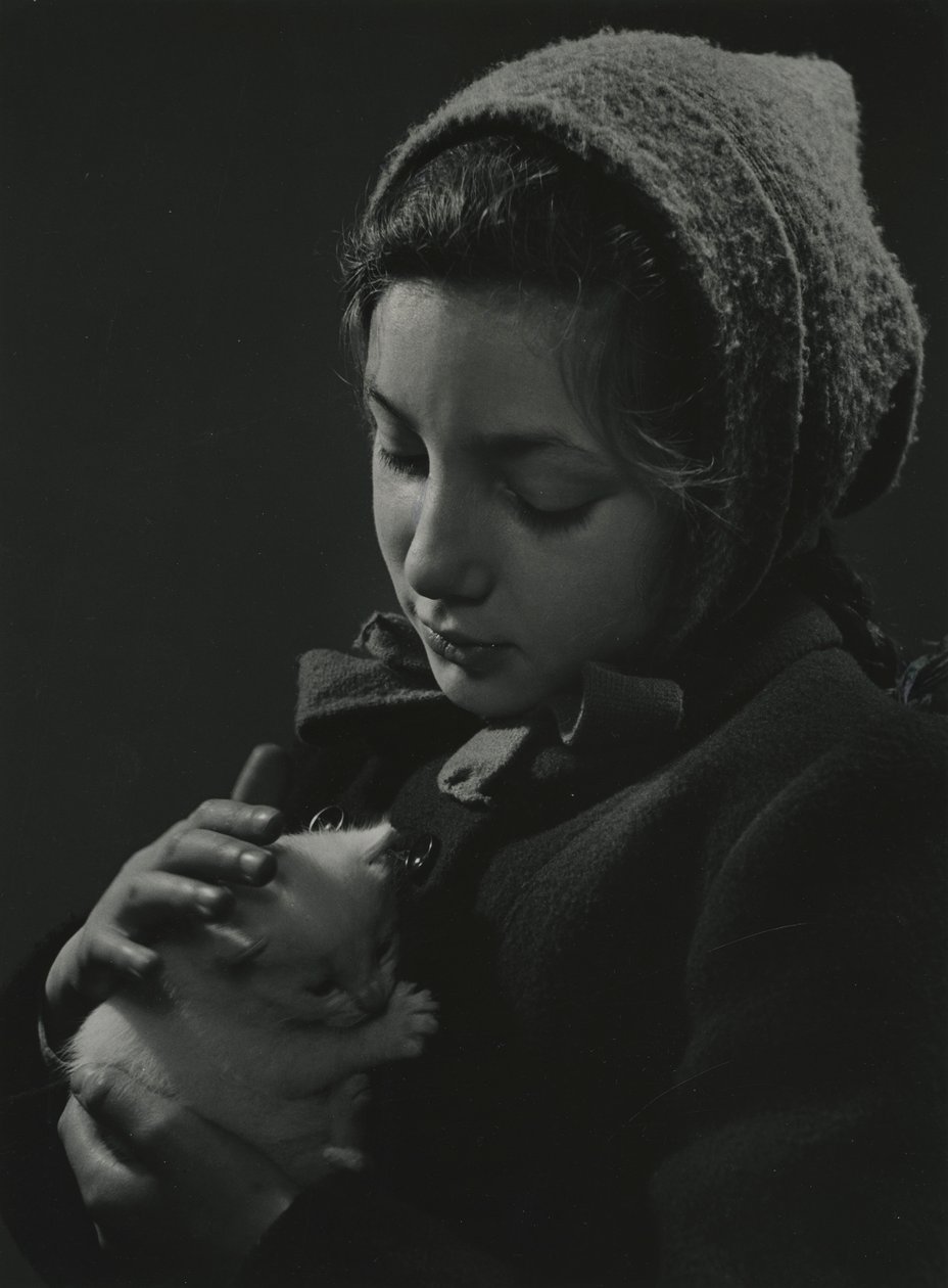  by Godfrey Macdominic