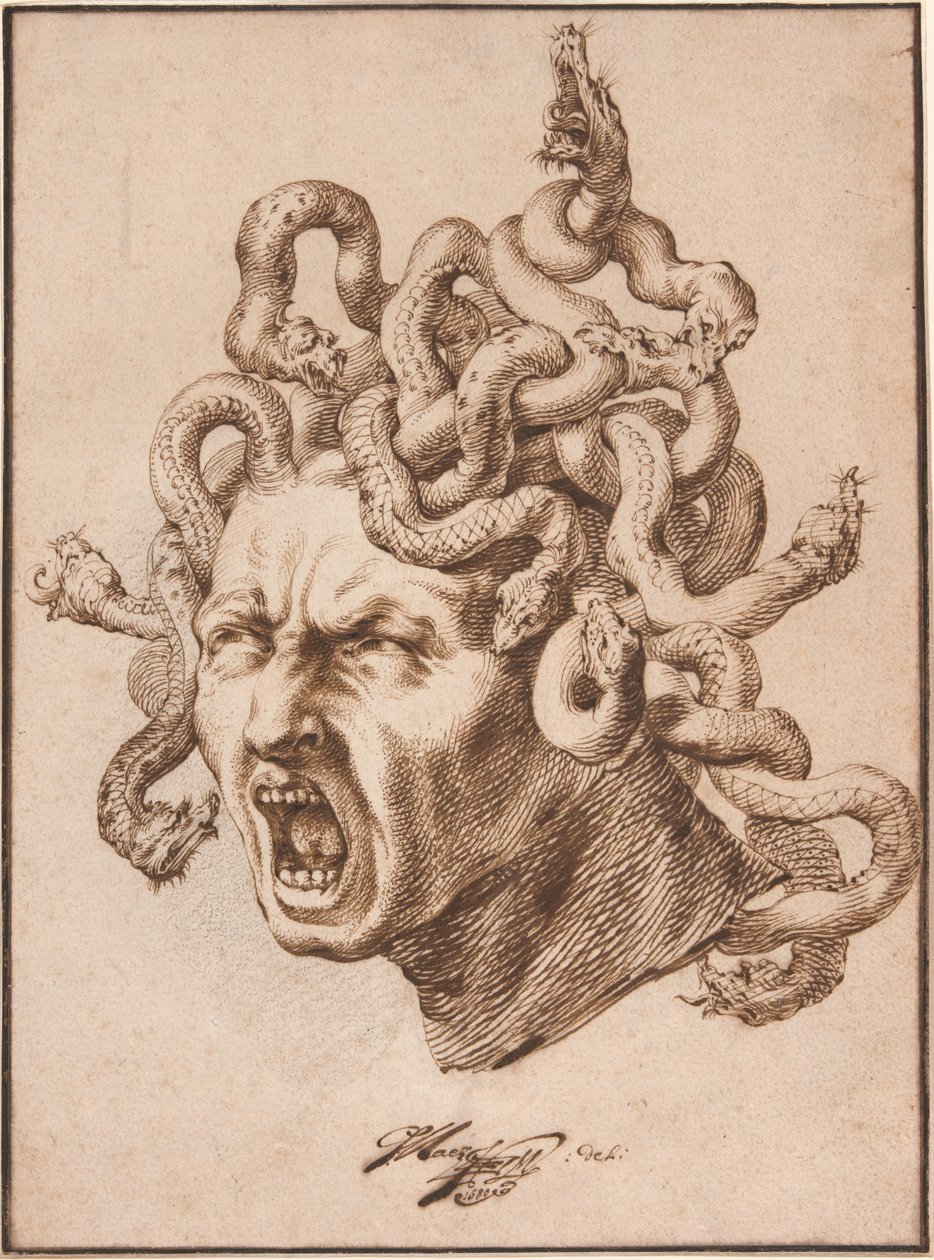 Medusa