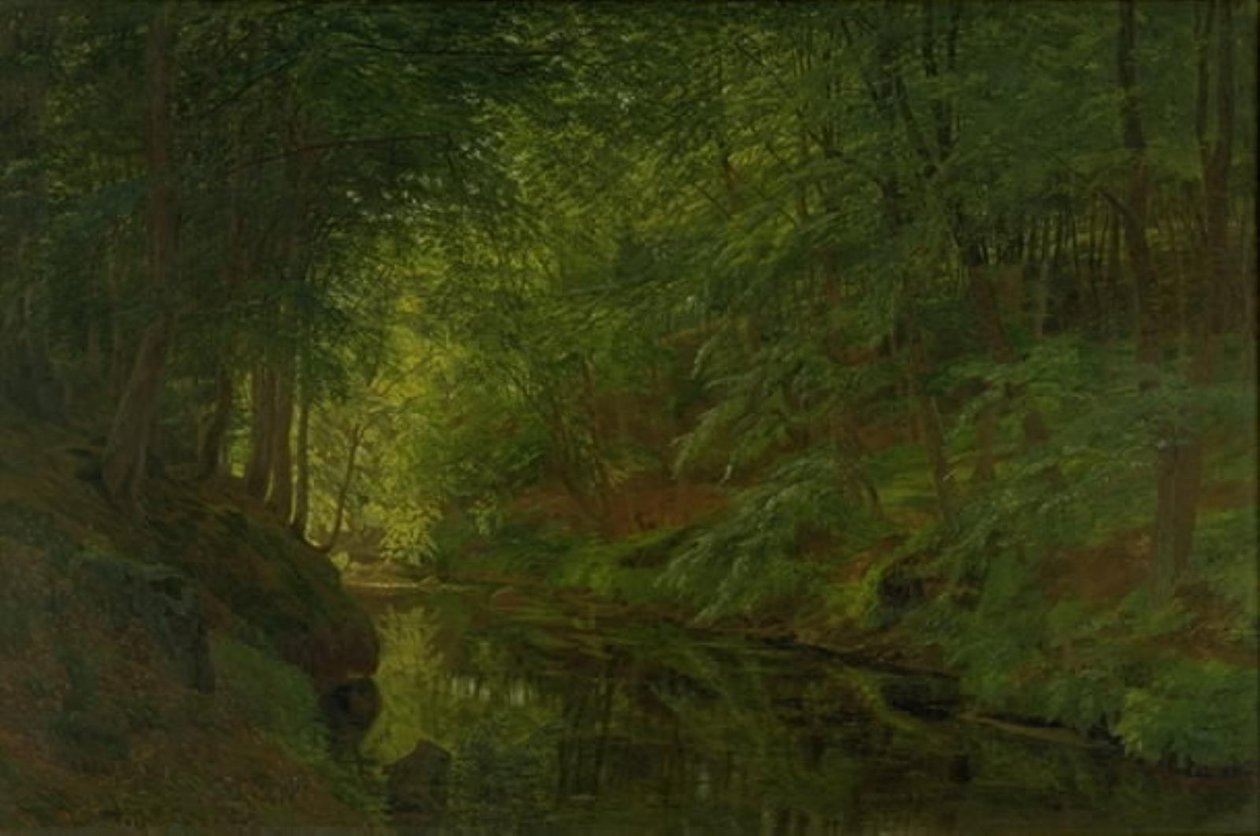 Sæbygaard Wood, Vendsyssel, Jutland
