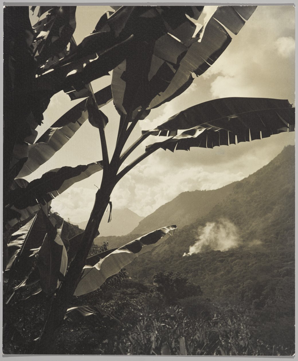 Tropiklerde Sabah (s/b fotoğraf) by Gordon C. Abbott