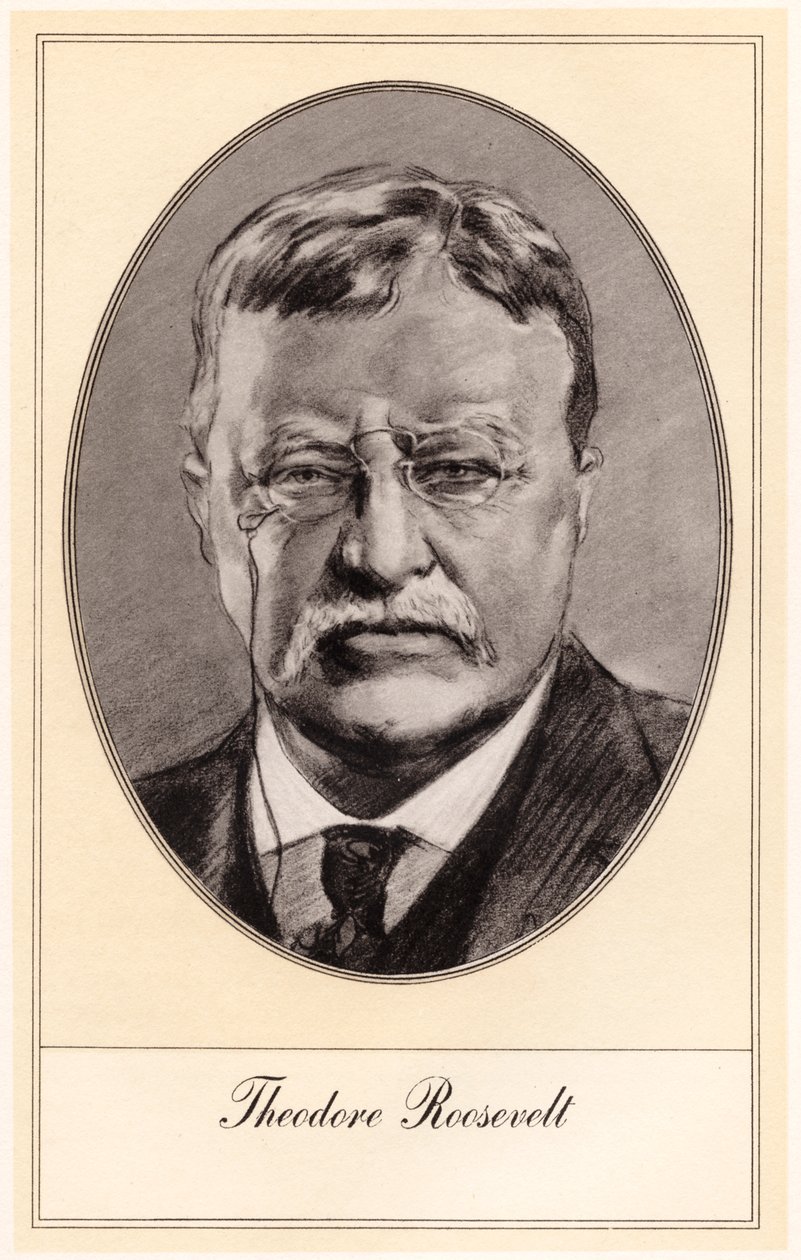 Theodore Roosevelt, Amerika Birleşik Devletleri