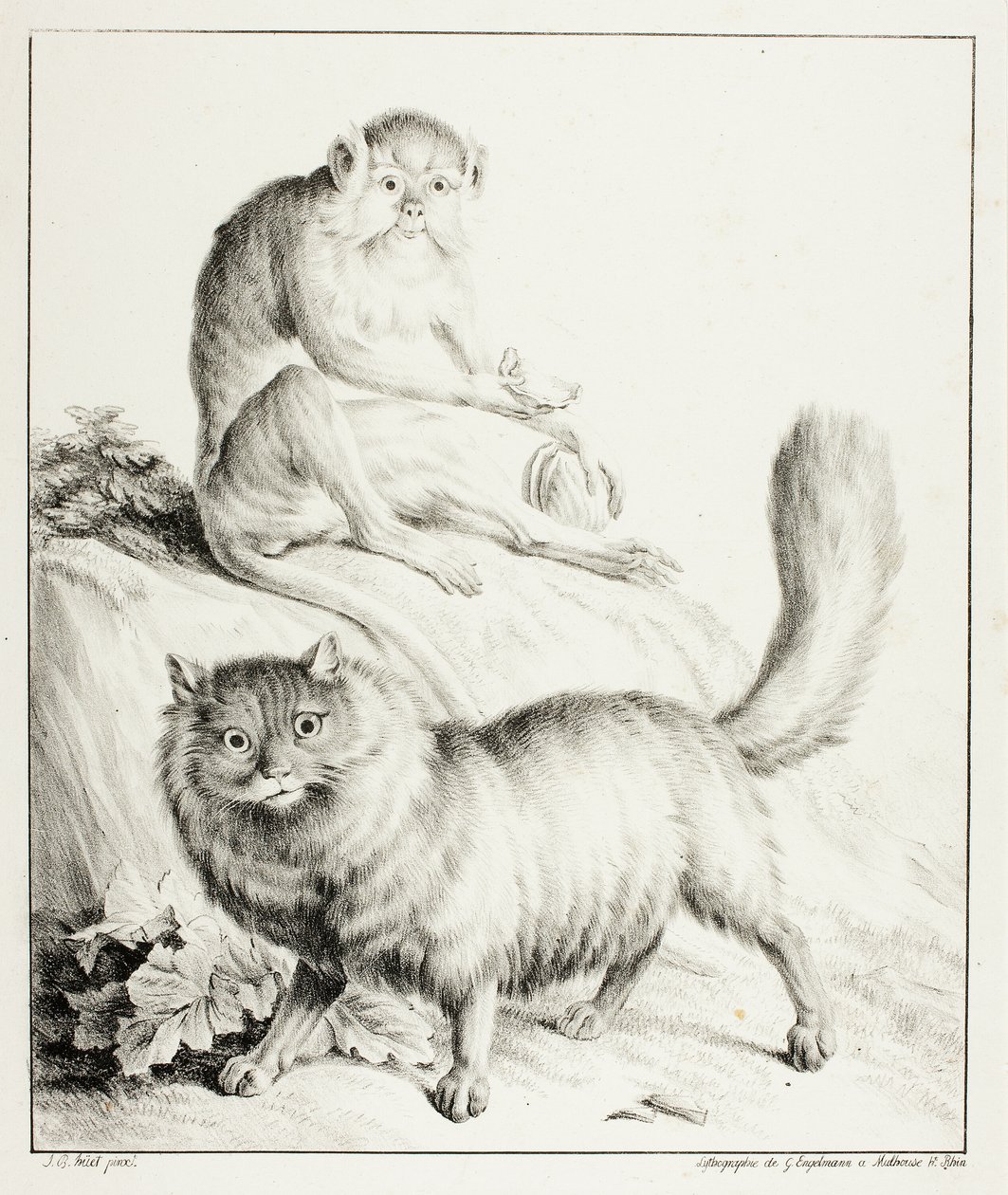 kedi ve maymun by Gottfried Engelmann