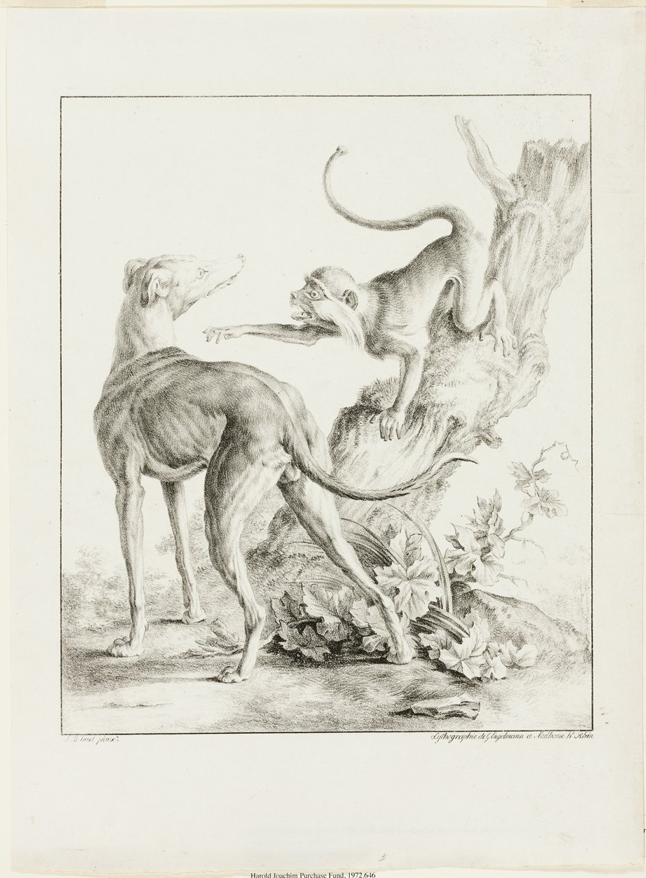 Köpek ve Maymun by Gottfried Engelmann