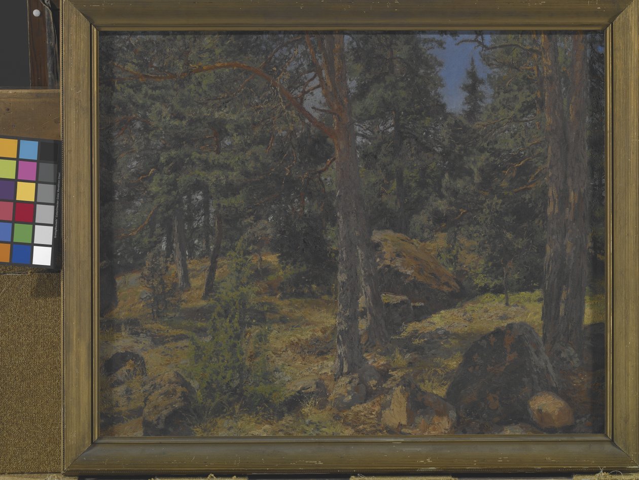 Bir Köknar Bankası (tuval üzerine yağlıboya) by Gottfried Kallstenius