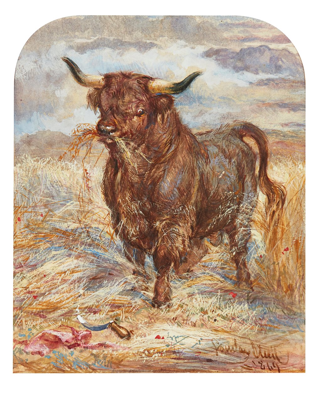 Muzaffer Boğa (suluboya) by Gourlay Steell