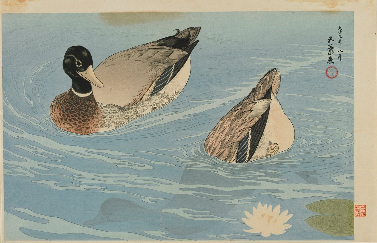 Ördekler, Taisho dönemi, Ağustos 1920 (renkli tahta baskı) by Goyo Hashiguchi