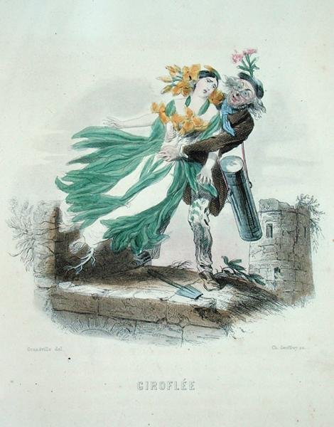 Charles Geoffroy (1819-82) tarafından kazınmış 