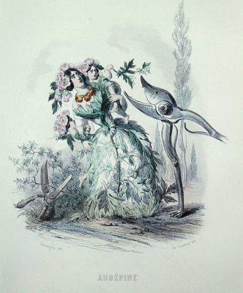 Charles Geoffroy (1819-82) tarafından kazınmış 