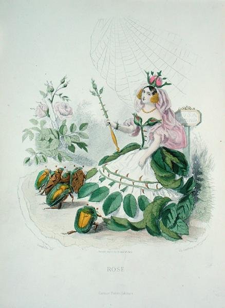 Charles Geoffroy (1819-82) tarafından oyulmuş 