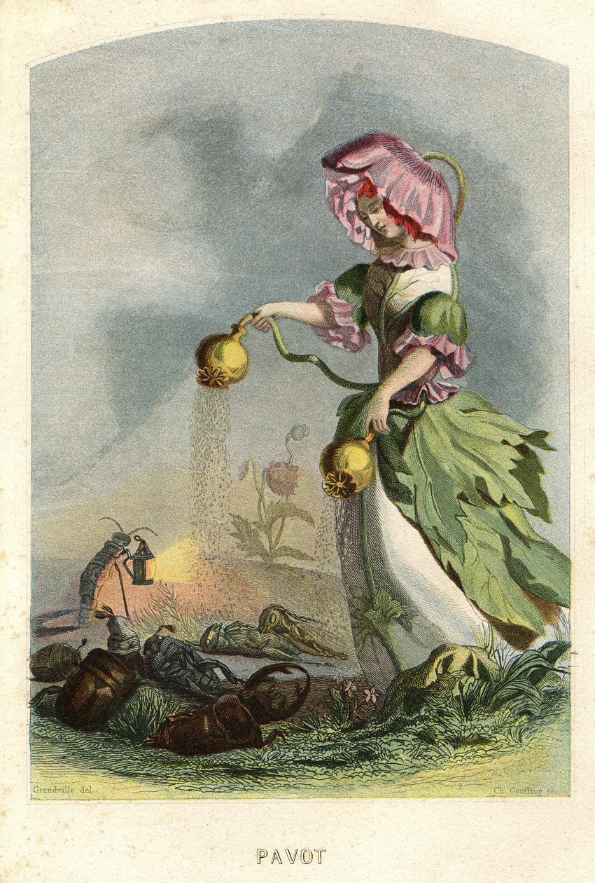  by Grandville (1803 47)