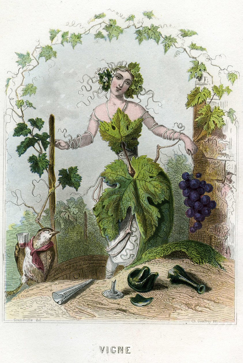  by Grandville (1803 47)