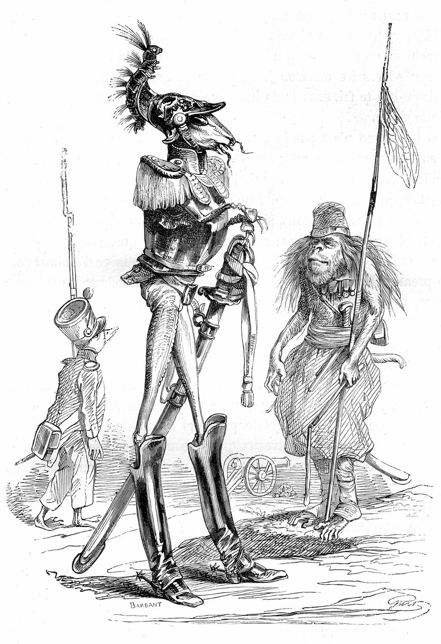 Hayvan karikatürleri - askerler: Grandville gravürü, Hayvanların Özel ve Kamusal Hayatı ("Les animaux ints par eux memes") kitabından alınmıştır, Hetzel baskısı 1867 s. 561 - Charles Nodier tarafından yazılan "Zürafanın Tabletleri" başlıklı bölüm. Alıntı by Grandville (1803-47)