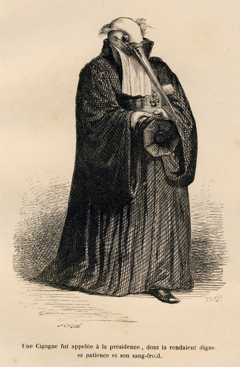 Yargıç leylek. JJ Granville tarafından gösterilen küçük resimler. Emile de La Bedolliere
