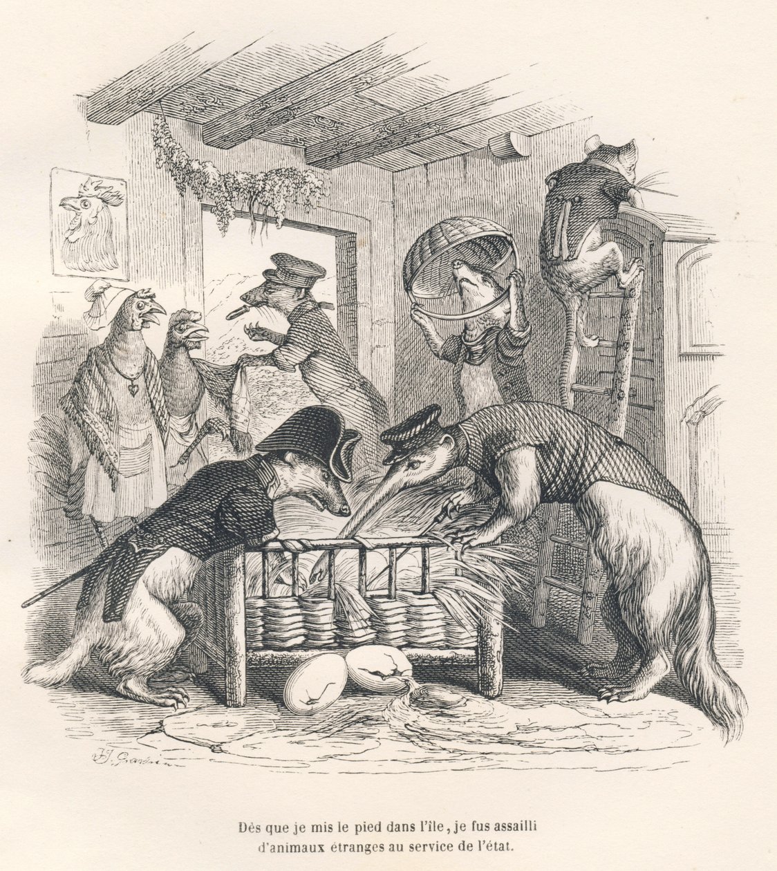 Adaya ayak basar basmaz devletin hizmetinde garip hayvanların saldırısına uğradım. JJ Granville tarafından gösterilen vinyetler. "Scenes de la vie pri"de George Sand tarafından yazılan "Voyage d