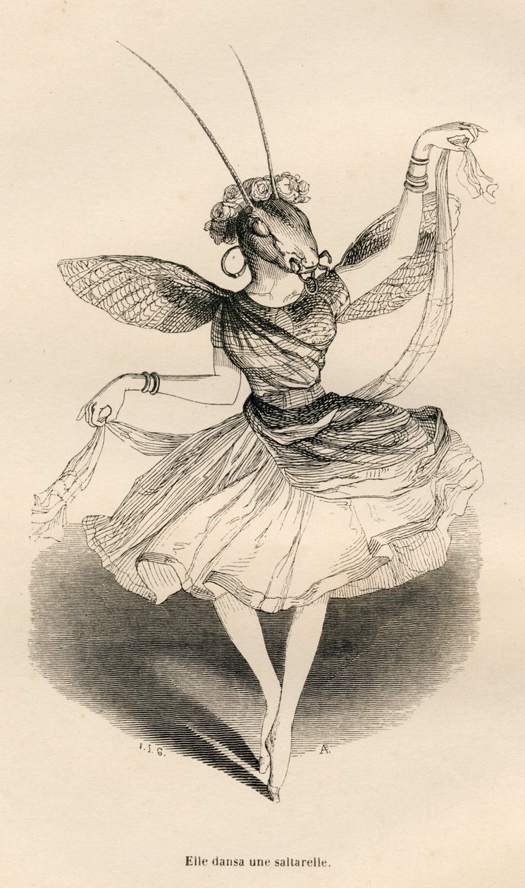 Saltarelle dansı yaptı. JJ Granville tarafından gösterilen vinyetler. "Hayvanların Özel ve Kamusal Yaşamlarından Sahneler"de PJ Stahl tarafından yazılan "Bir Kelebeğin Maceraları" başlıklı bölümde Andrew, Best ve Leloir tarafından yapılan gravür. Paris, J. by Grandville