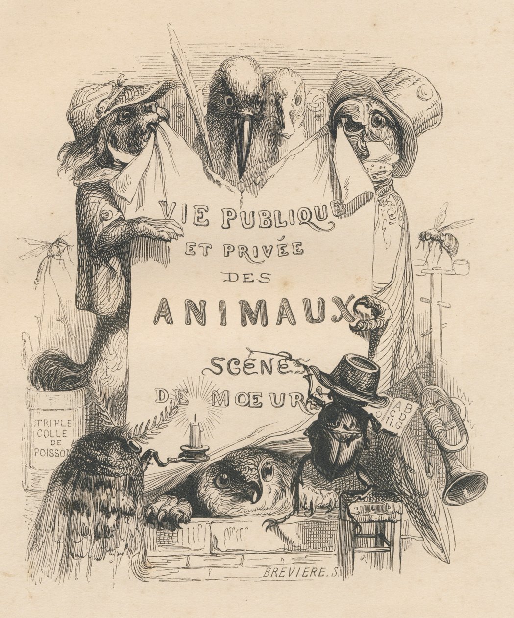 "Hayvanların özel ve kamusal yaşamından sahneler" kitabının ön yüzü. Paris, J. Hetzel ve Paulin by Grandville