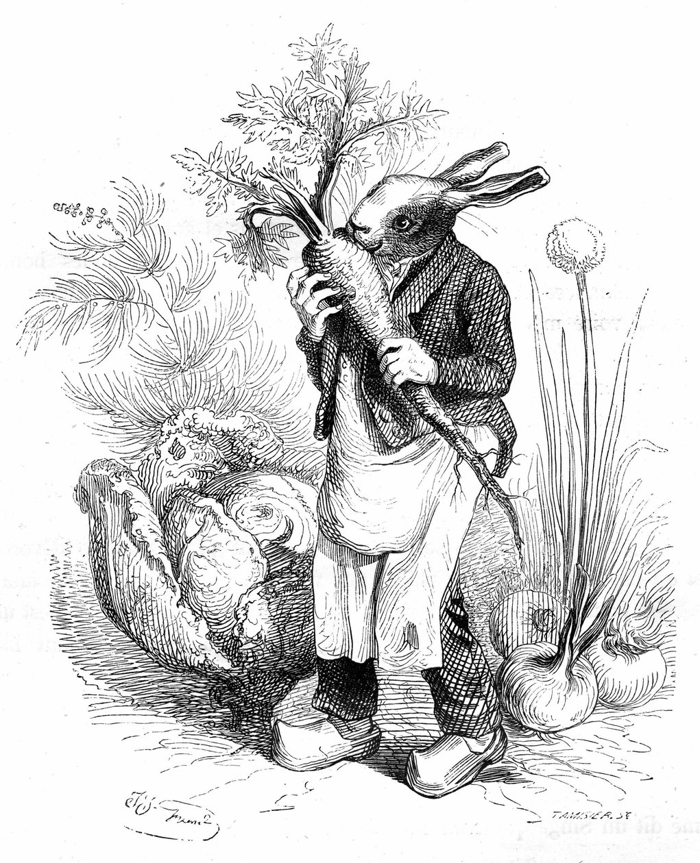  by Grandville (1803 47)