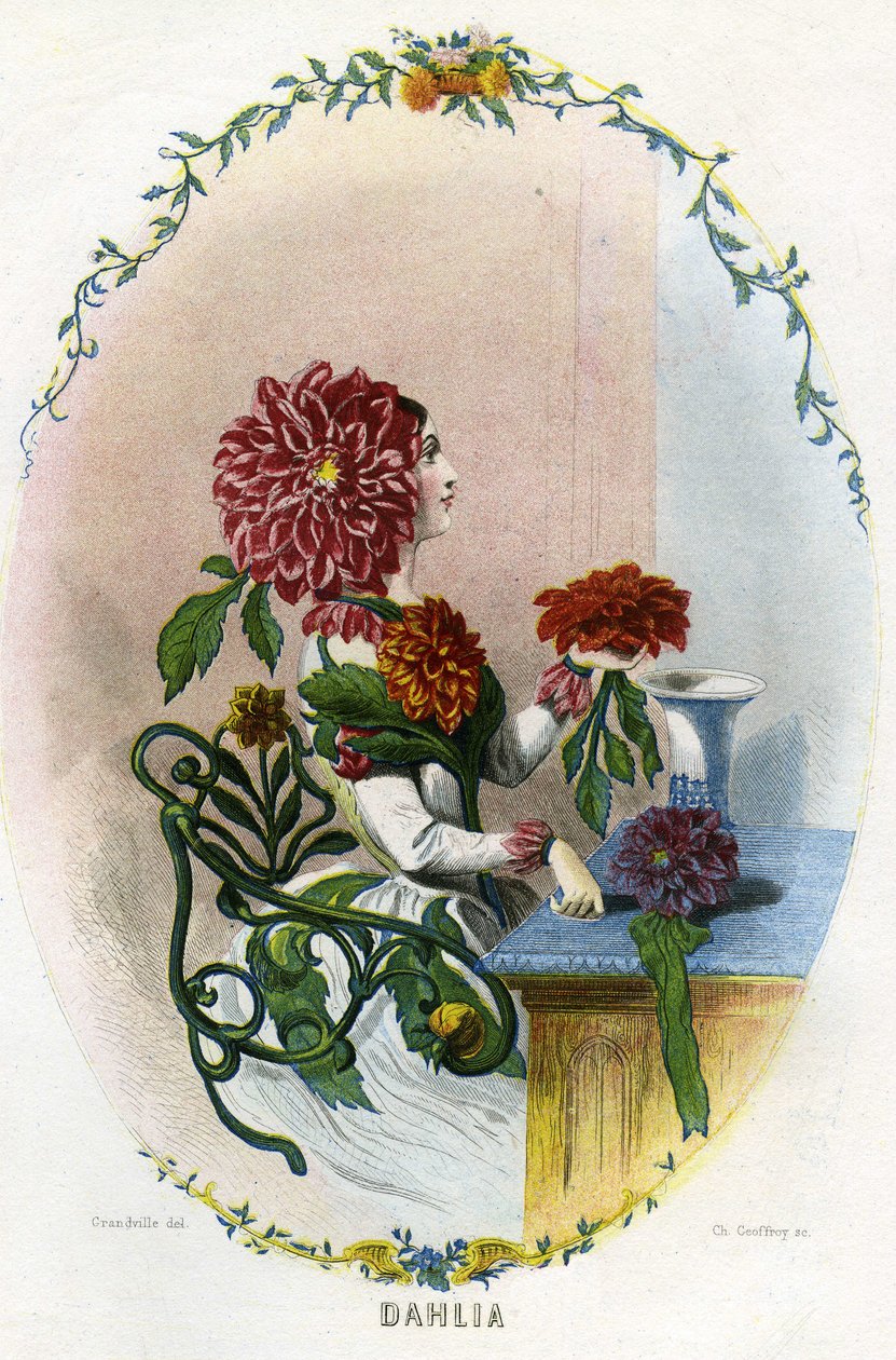  by Grandville (1803 47)