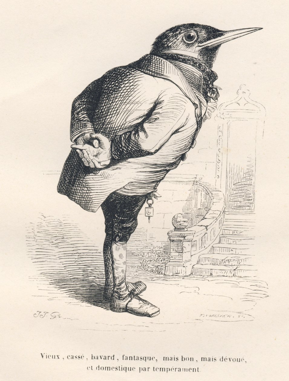 Merle "yaşlı, kırık, konuşkan, kaprisli ama iyi ama mizacına göre sadık ve evcil". JJ Granville tarafından gösterilen vinyetler. PJ Stahl'ın "Hayattan Sahneler" bölümünde yazdığı "Yaşlı bir karganın hatıraları" başlıklı bö by Grandville