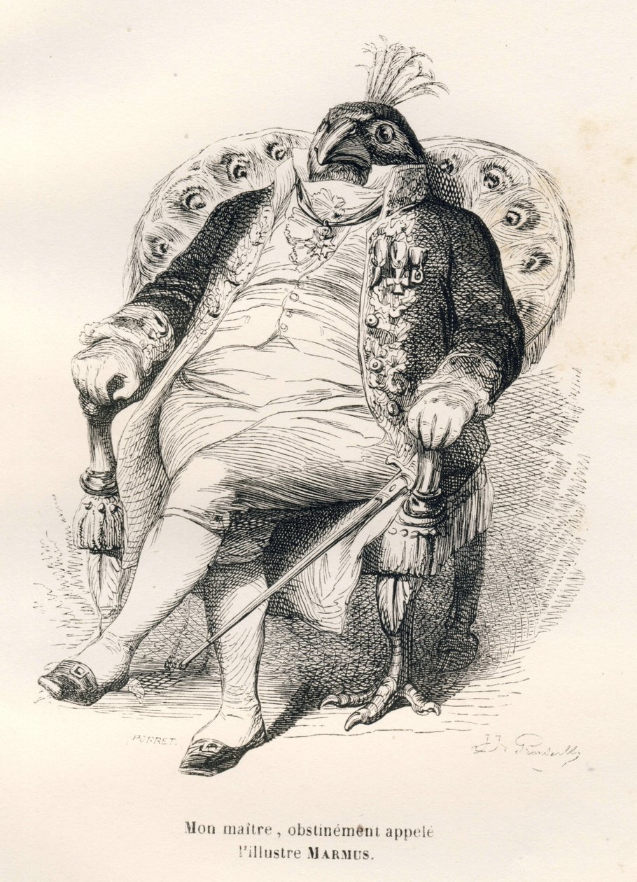 Tavus kuşu sandalyesinde oturuyor. JJ Granville tarafından gösterilen vinyetler. Honore De Balzac tarafından yazılan "Onur elde etmek isteyen hayvanların kullanımı için rehber-eşek" başlıklı bölümde Porret imzalı gravür by Grandville